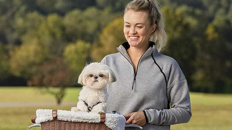 7 best dog bike baskets