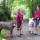 Guide to the Galloping Goose Trail, Vancouver Island