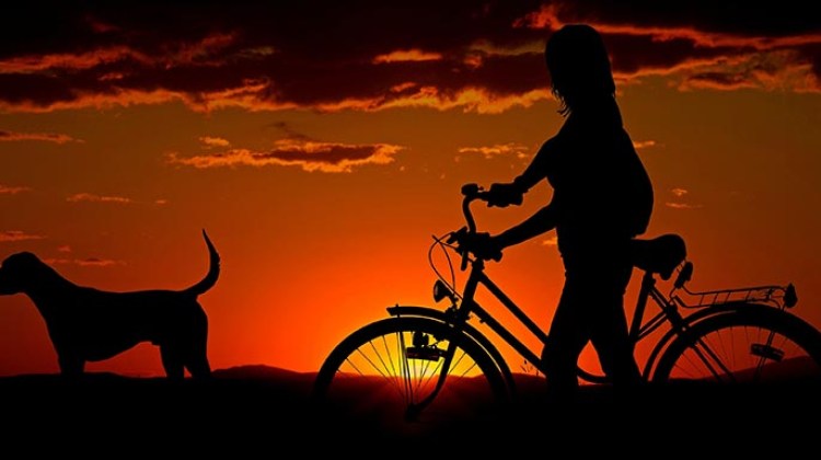 Get a new bike, and then get outside and have fun!